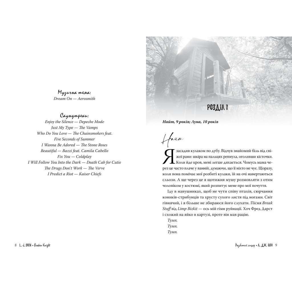 Книга Розбитий лицар - Л. Дж. Шен Видавництво РМ (9786178373283) - зображення 2