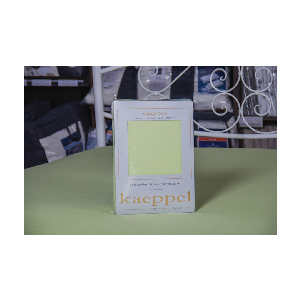 Простирадло Billerbeck трикотажне на резинці блідо-зелене 100х200 см (1671-Е29) - зображення 1