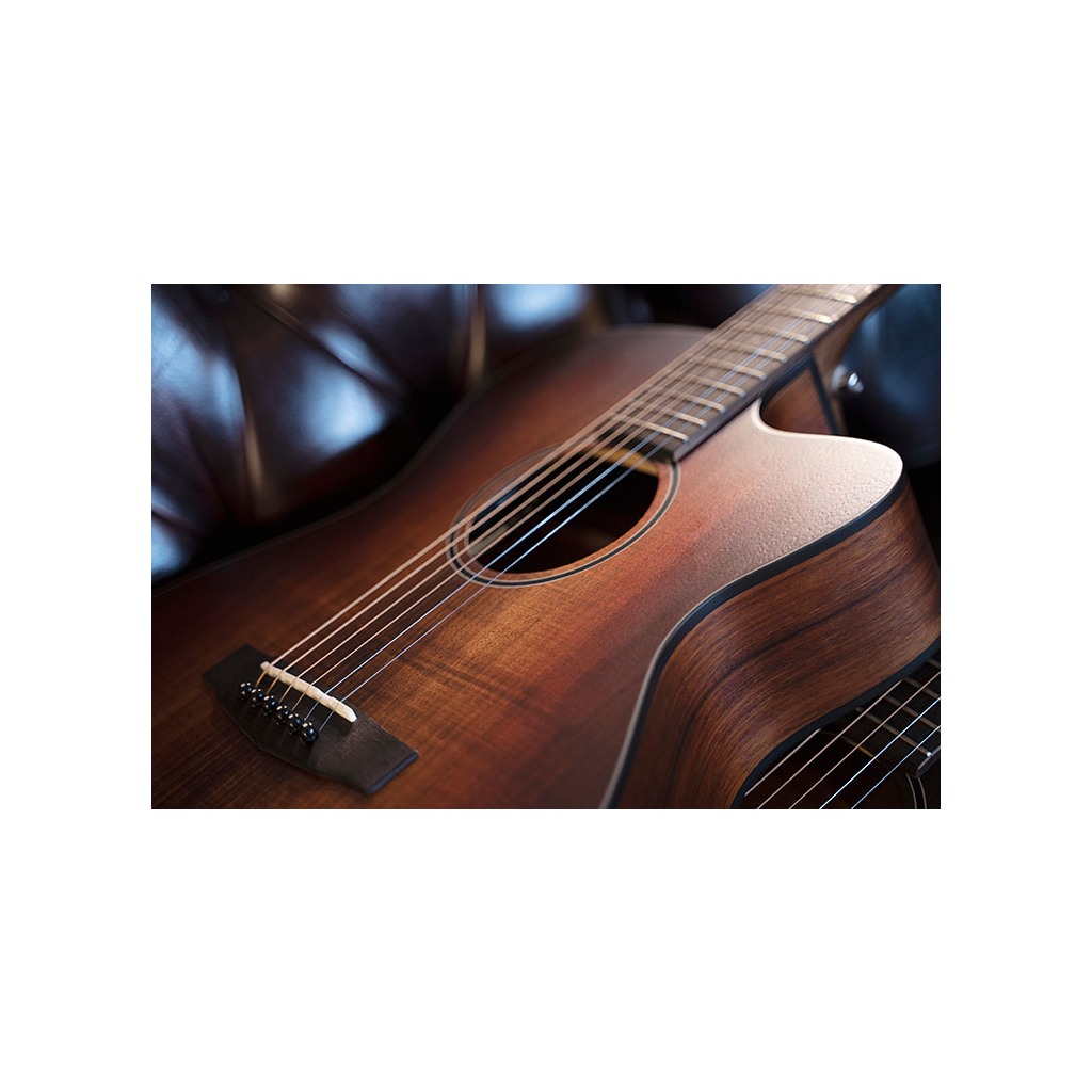 Гітара електроакустична Cort Core-OC Blackwood (Open Pore Light Burst) - зображення 8