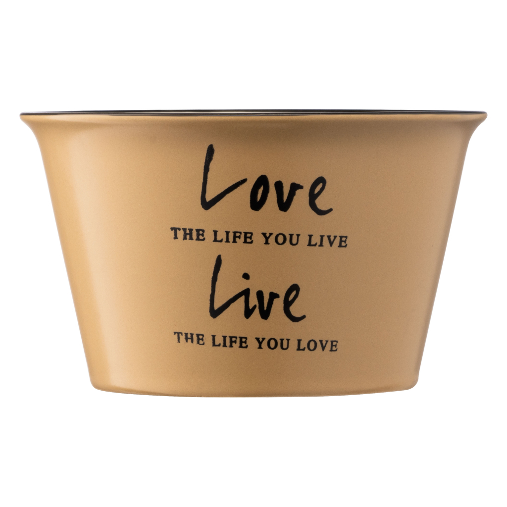 Бульйонниця Ardesto Way of Life 550 мл Beige (AR3479OL) - зображення 4