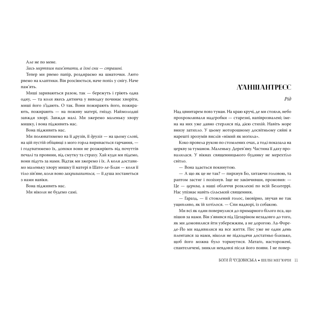 Книга Змія і голуб. Книга 3. Боги й чудовиська - Шелбі Мег'юрін Видавництво РМ (9786178373313) - зображення 4