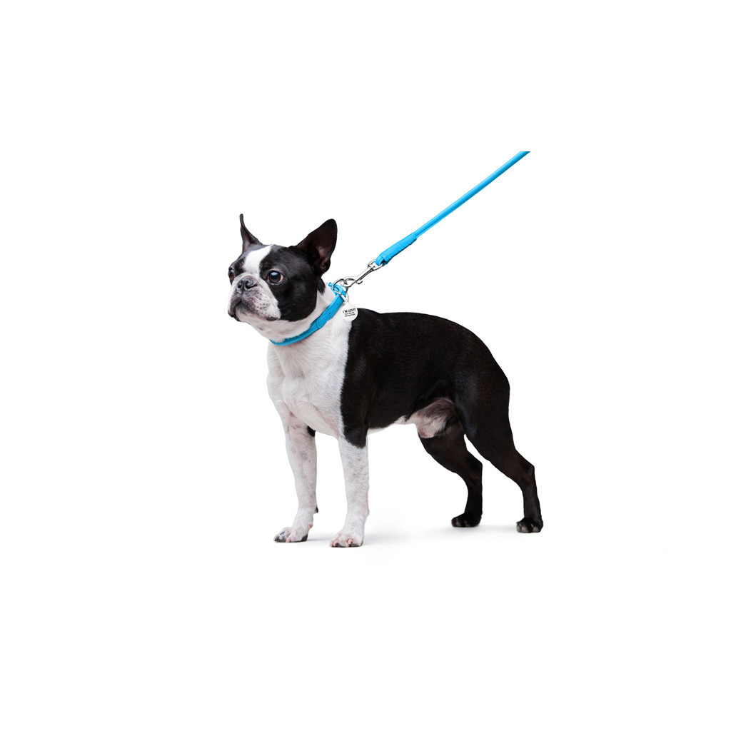 Повідець для собак WAUDOG Glamour круглий XS d 8 мм Д 122 см блакитний (33772) - зображення 5