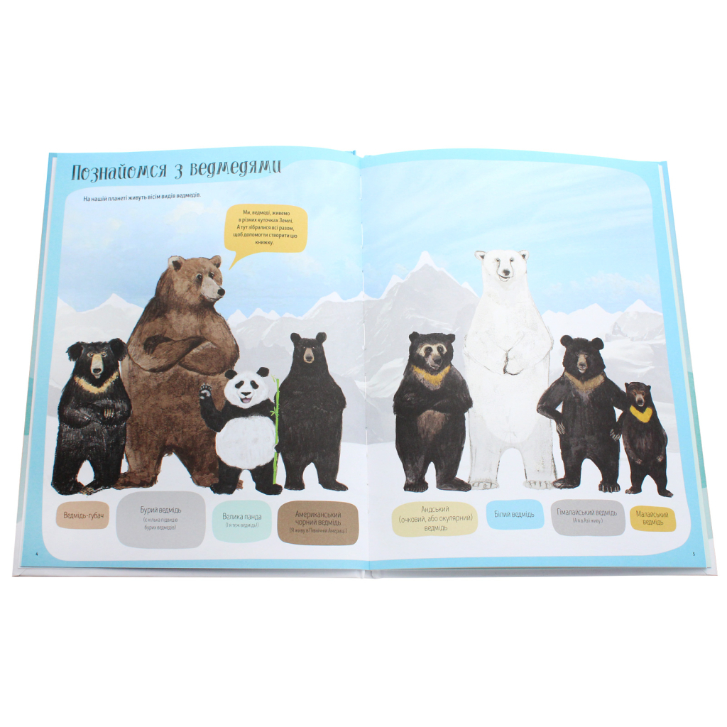 Книга Ведмежа книга - Кейті Віґґерс Жорж (9786177579624) - зображення 4