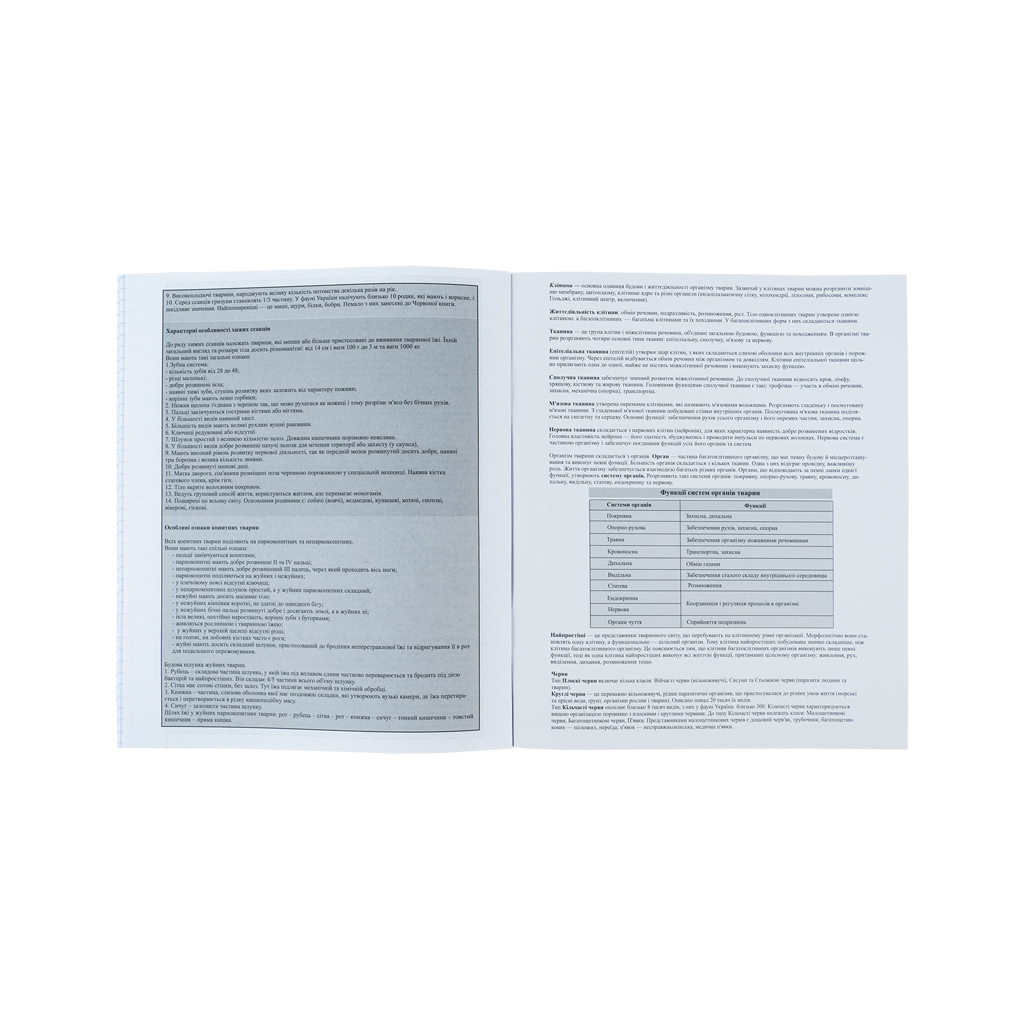 Зошит Kite предметний Sketch 48 аркушів, біологія клітинка (K24-240-17) - зображення 6