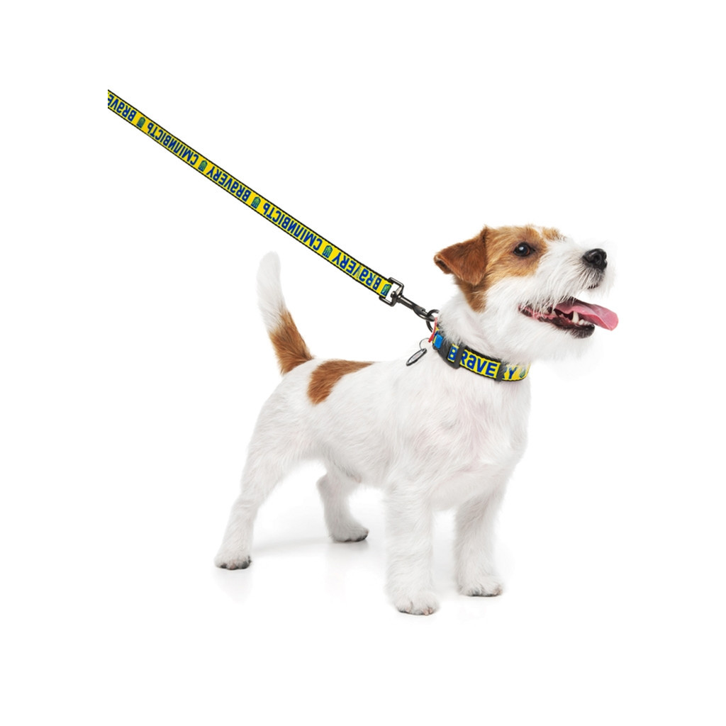 Повідок для собак WAUDOG Nylon "Сміливість" S Ш 15 мм (4915-0231) - зображення 3