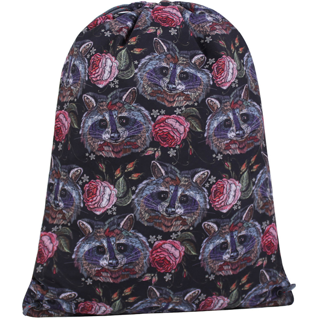 Сумка для взуття Bagland Котомка 477 Сублімація 8 л (005661524) (69377781) - зображення 1