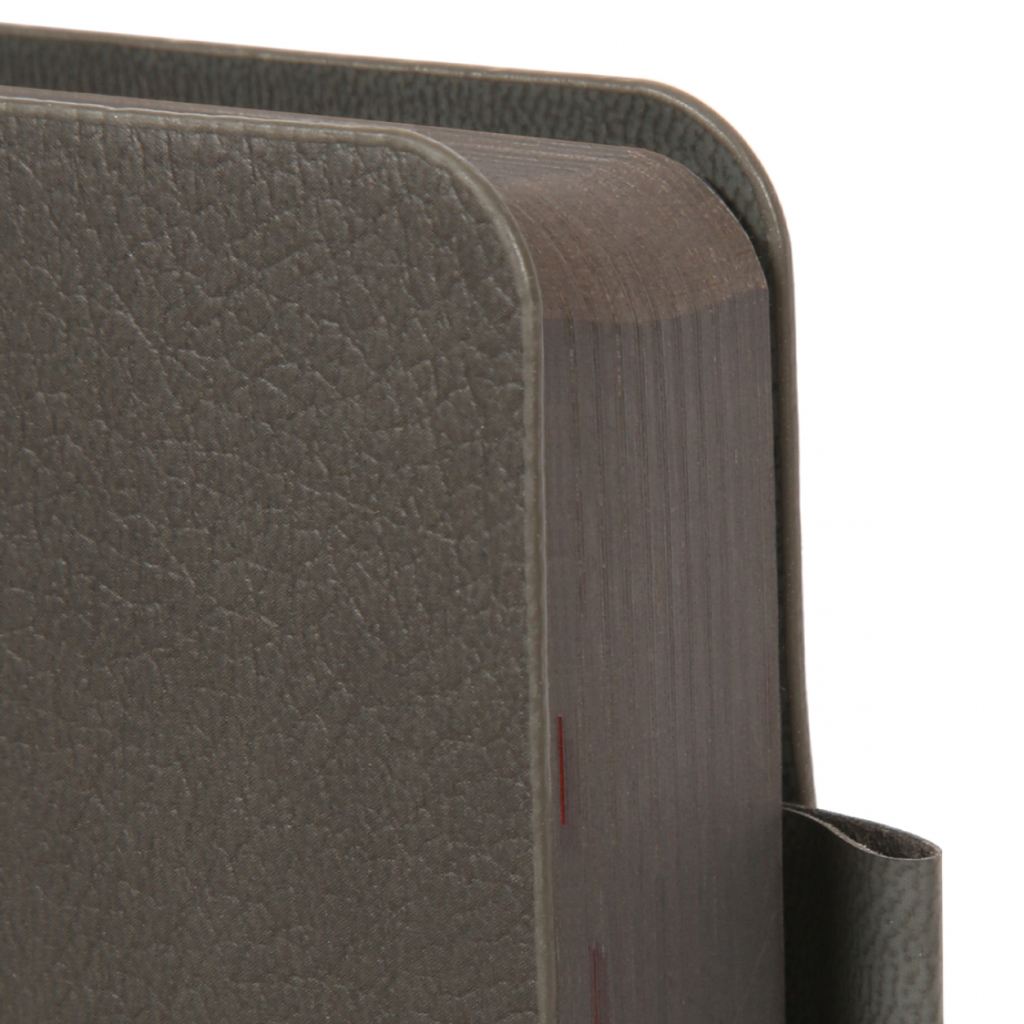 Тижневик Leo planner А5 датований 2026 "Binario", м'який, графіт, 368 сторінок (252640) - зображення 3