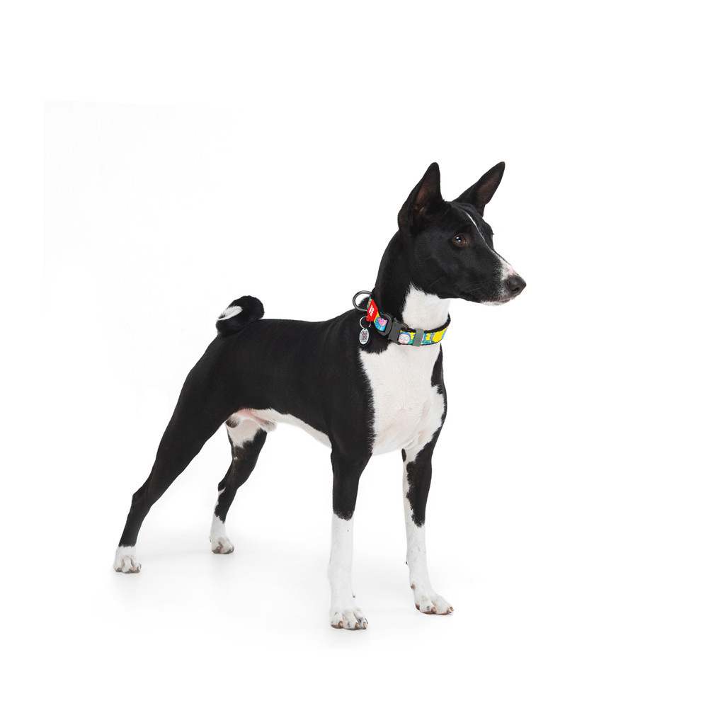 Нашийник для тварин WAUDOG Nylon з QR паспортом "Рік і Морті 1" металева пряжка-фастекс XL (4508-0280) - зображення 3