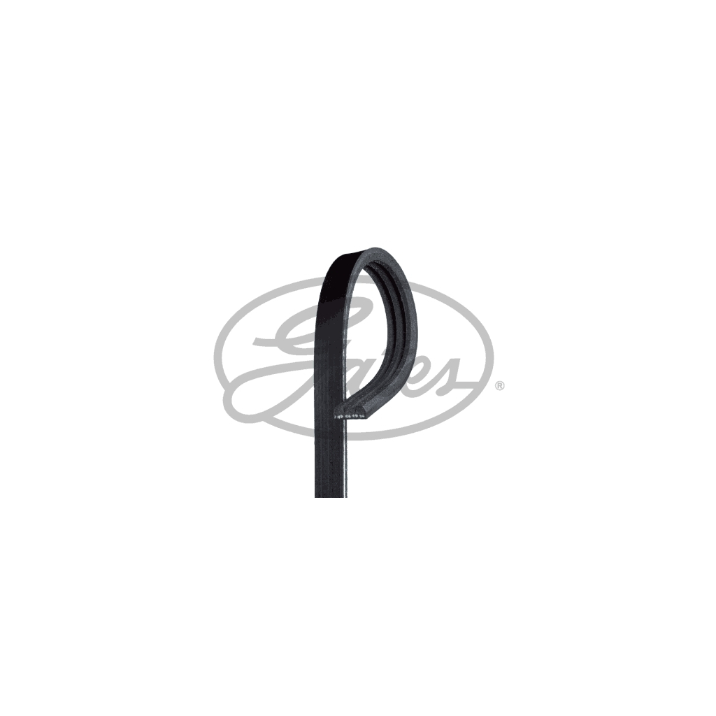 Поліклиновий ремінь Gates 3PK815 - зображення 1