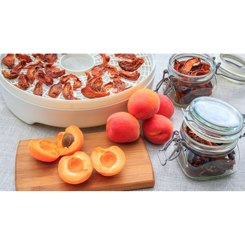 Сушка для овочів та фруктів MPM MSG-17 - зображення 4