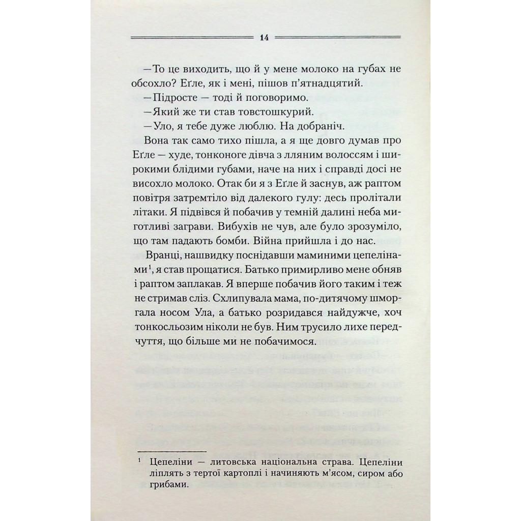 Книга Заячий костел - Василь Шкляр КСД (9786171511378) - зображення 10