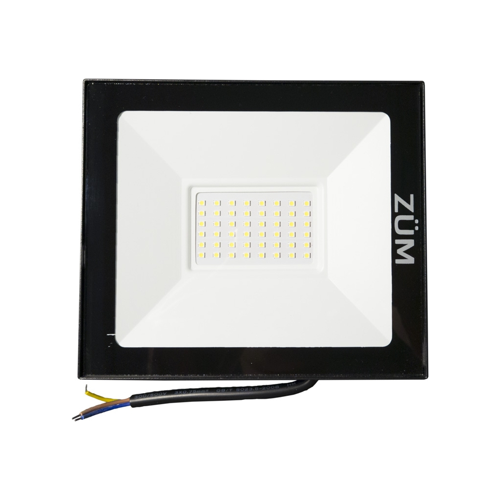 Прожектор Євросвітло ZUM 50 6400K - зображення 2