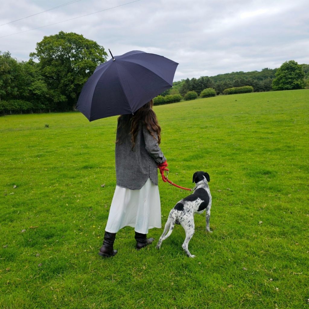 Парасоля Fulton Hampstead-1 L893 - Black (L893-037577) - зображення 3