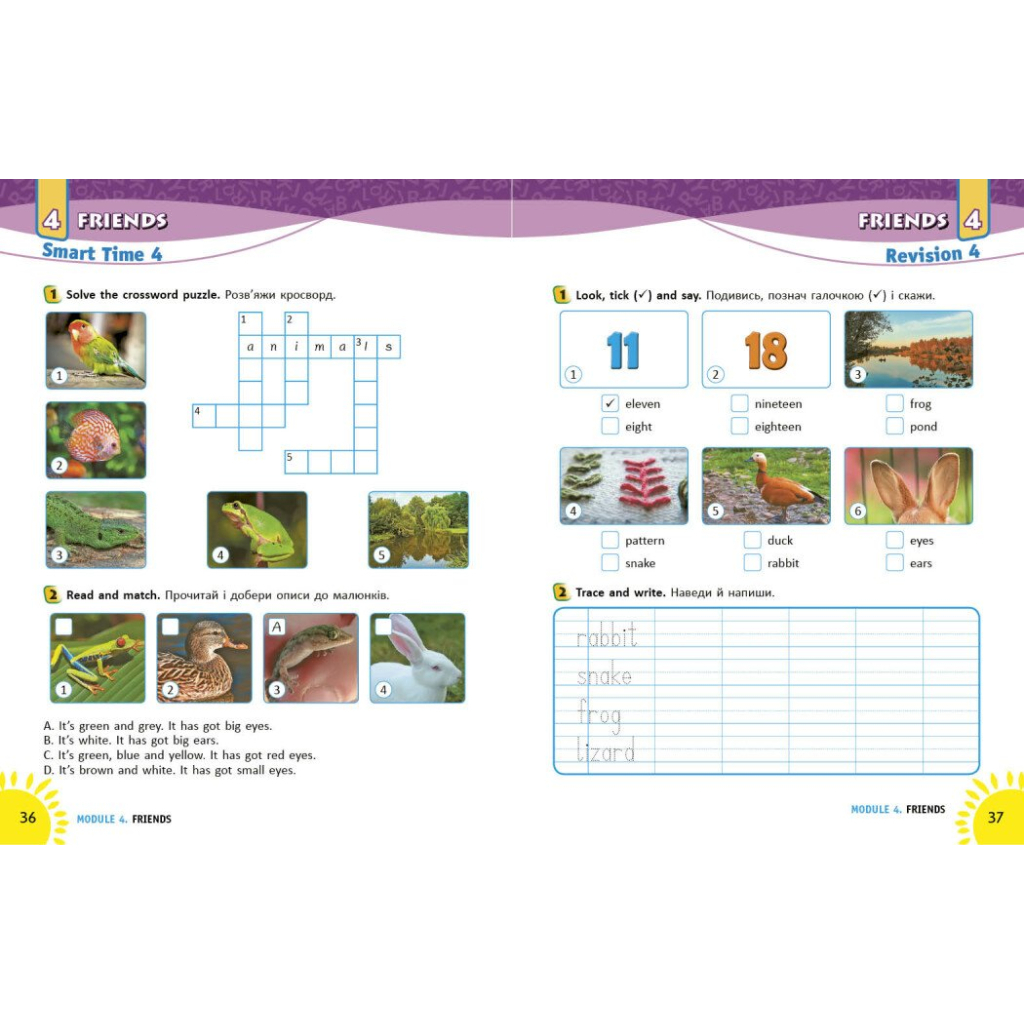 Робочий зошит НУШ Англійська мова. 2 клас. Із прописами. До підруч. Г. К. Мітчелла - Лана Грейс Ранок (9786177048410) - зображення 6