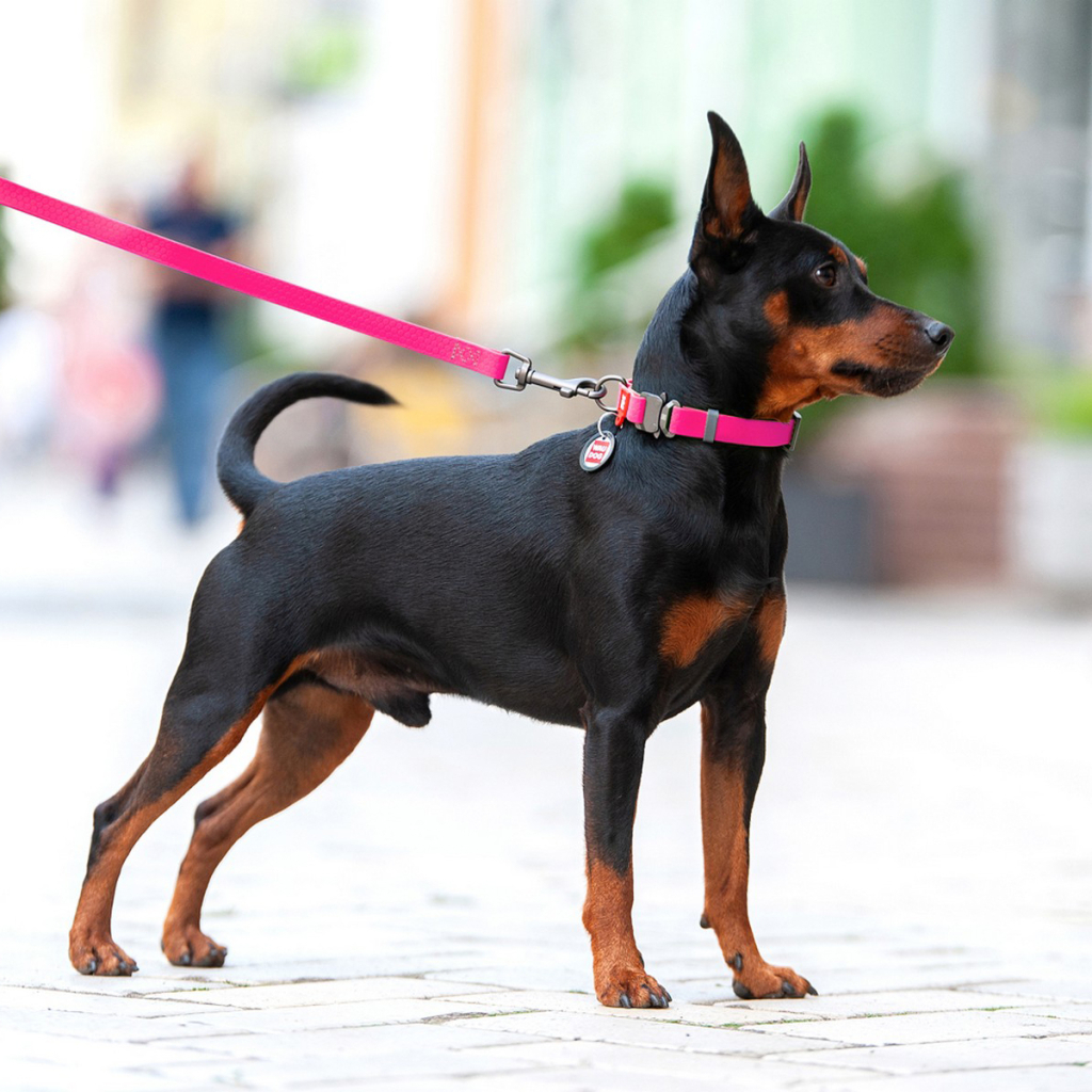 Повідець для собак WAUDOG Waterproof S Ш 15 мм Д 305 см рожевий (27387) - зображення 3