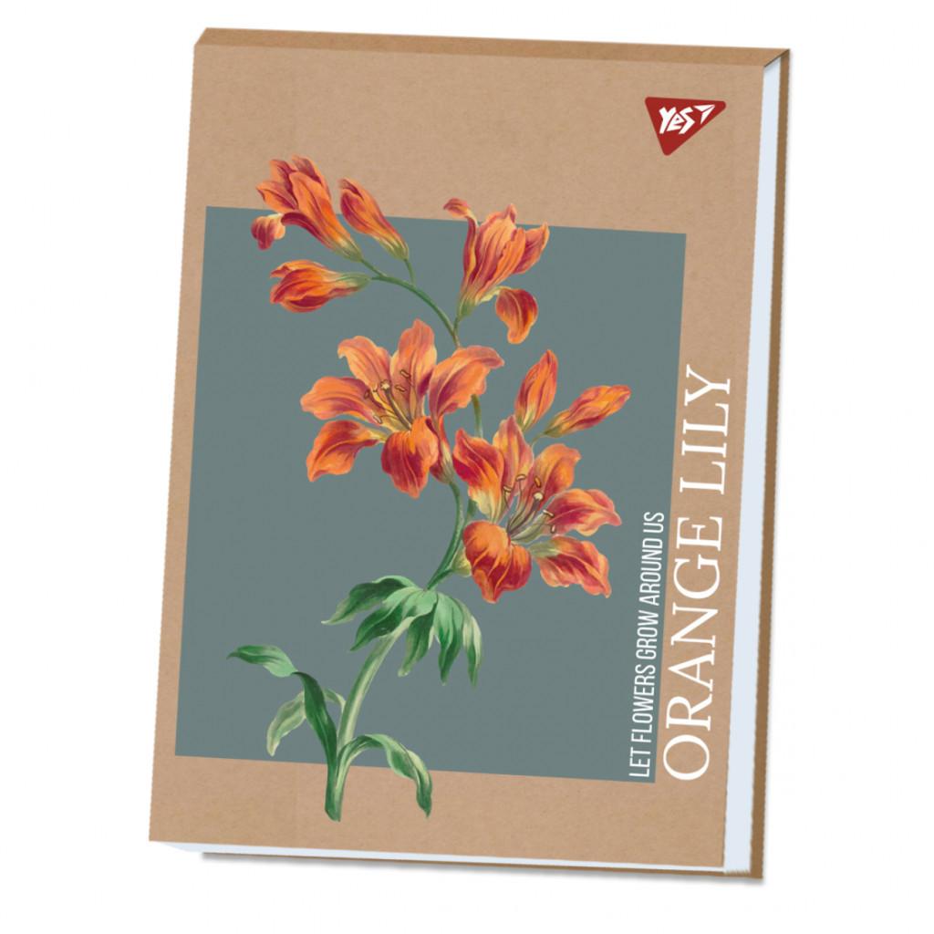 Альбом для малювання Yes А4 40 аркушів клеєний білила "Lily" крафт (130584) - зображення 1