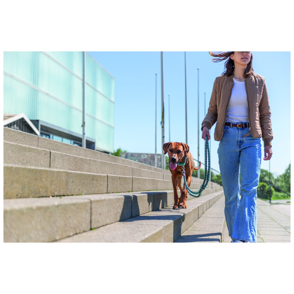 Повідець для собак Trixie Cavo регульований S–M 2 м діаметр 12 мм аква-графіт (4053032677913) - зображення 4