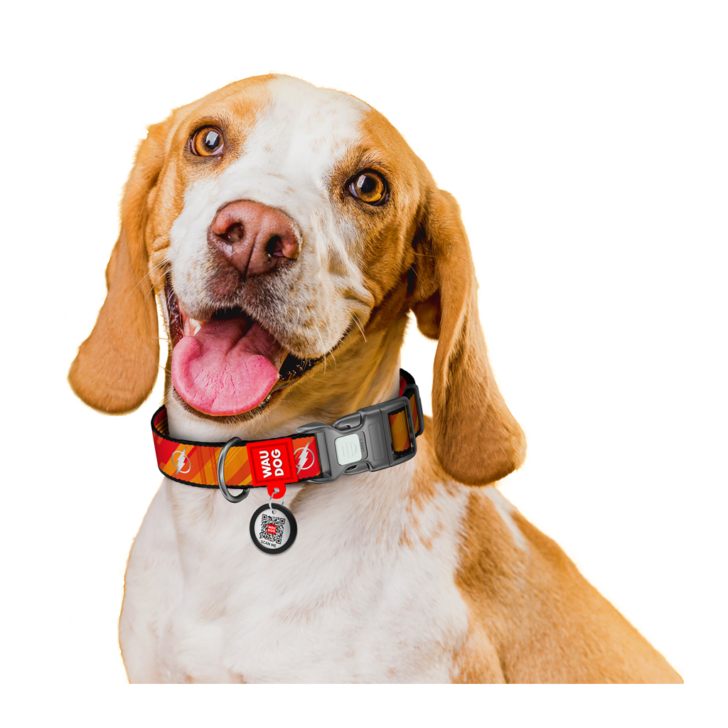 Нашийник для тварин WAUDOG Nylon з QR паспорто "Флеш Лого", світловідбивний S (280-1083) - зображення 6