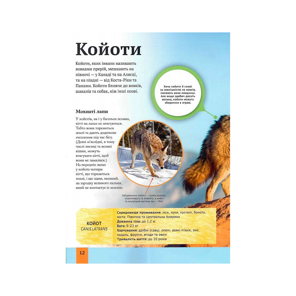 Книга Дитяча енциклопедія хижаків - Алекс Вульф, Клер Філіп Vivat (9789669828514) - зображення 12