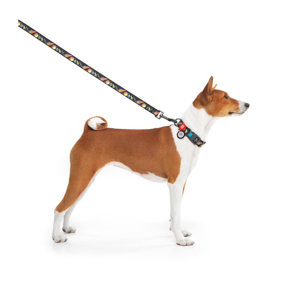 Нашийник для тварин WAUDOG Nylon з QR паспортом "Рік і Морті 3" пластиковий фастекс XL (4504-0282) - изображение 4