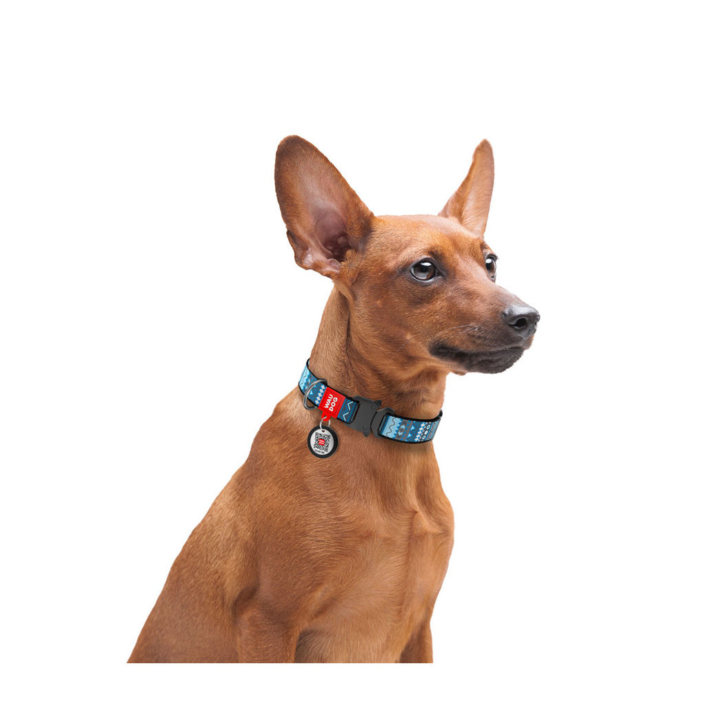 Нашийник для тварин WAUDOG Nylon з QR паспортом "Етно синій" металева пряжка-фастекс S (5183) - изображение 4