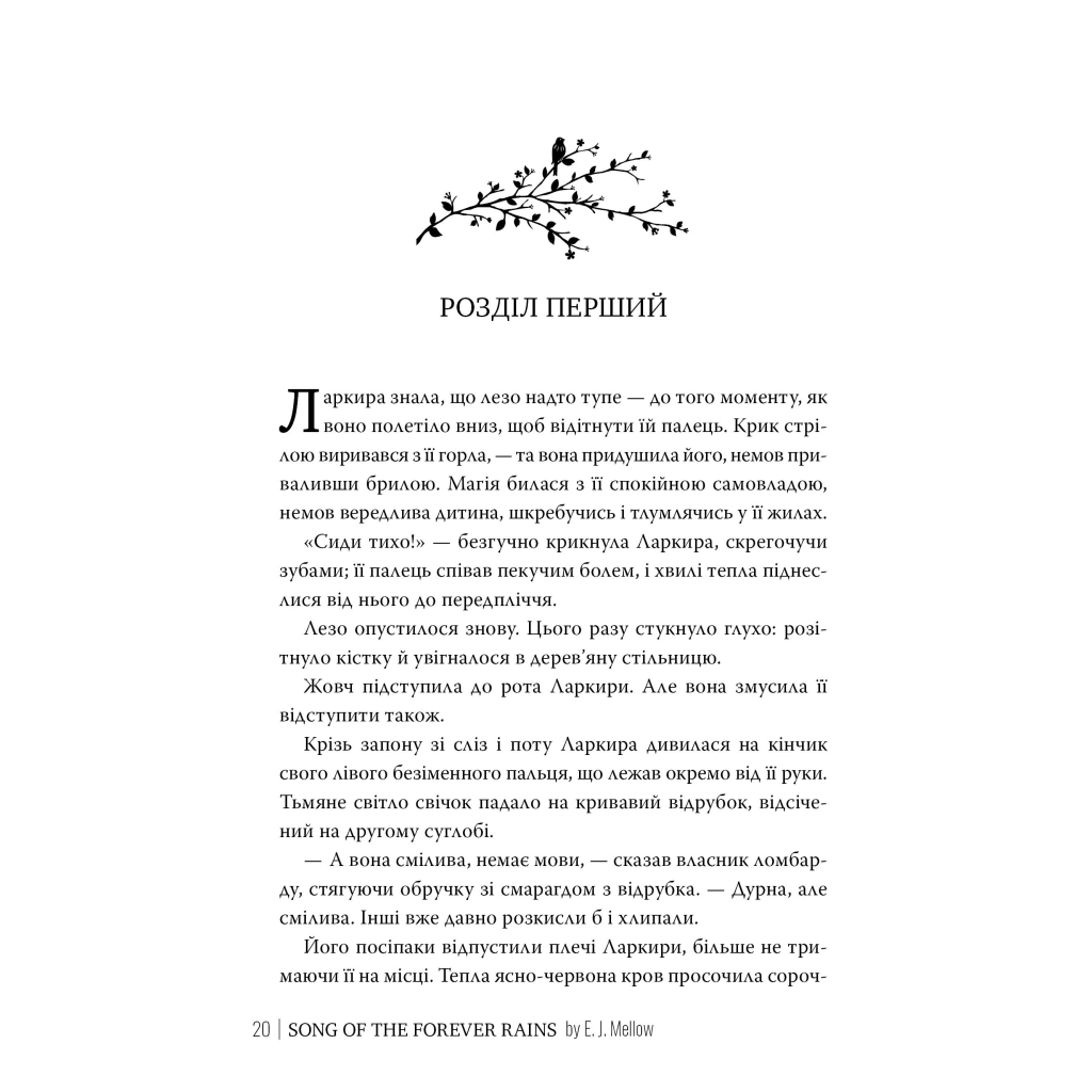 Книга Мусаї. Книга 1. Пісня вічних дощів - Е. Дж. Меллов Видавництво РМ (9786178373726) - зображення 4
