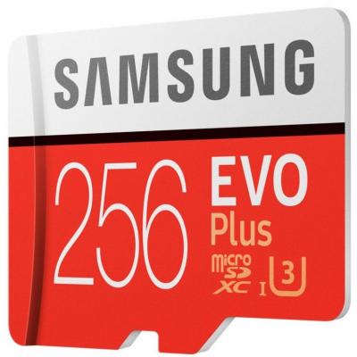Карта пам'яті Samsung 256GB microSDXC class 10 UHS-I U3 Evo Plus (MB-MC256GA/RU) - зображення 4