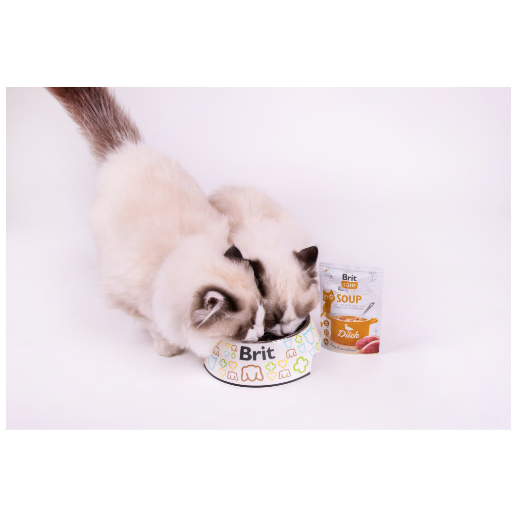 Вологий корм для кішок Brit Care Soup with Duck з качкою 75 г (8595602569182) - зображення 5