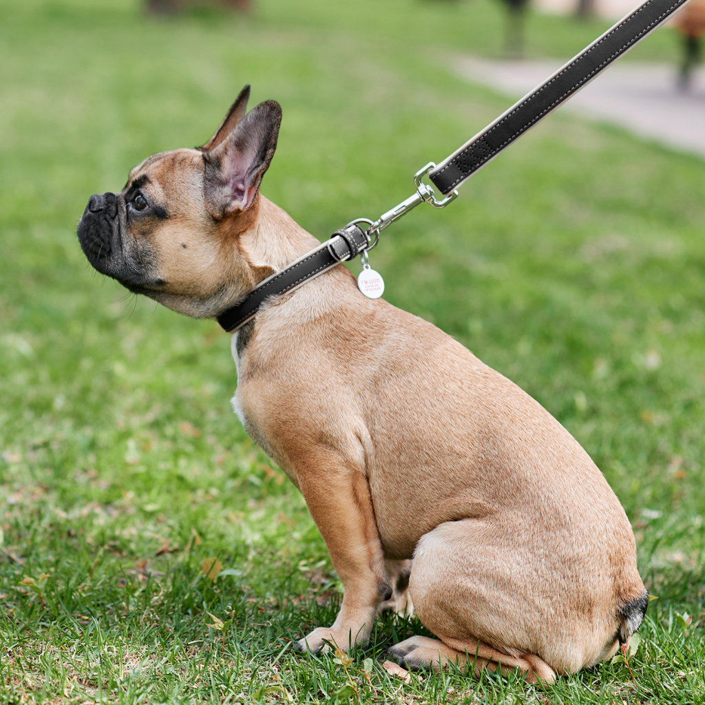 Нашийник для тварин WAUDOG Soft з QR паспортом S Ш 20 мм Д 30-39 см чорний (7190) - зображення 4