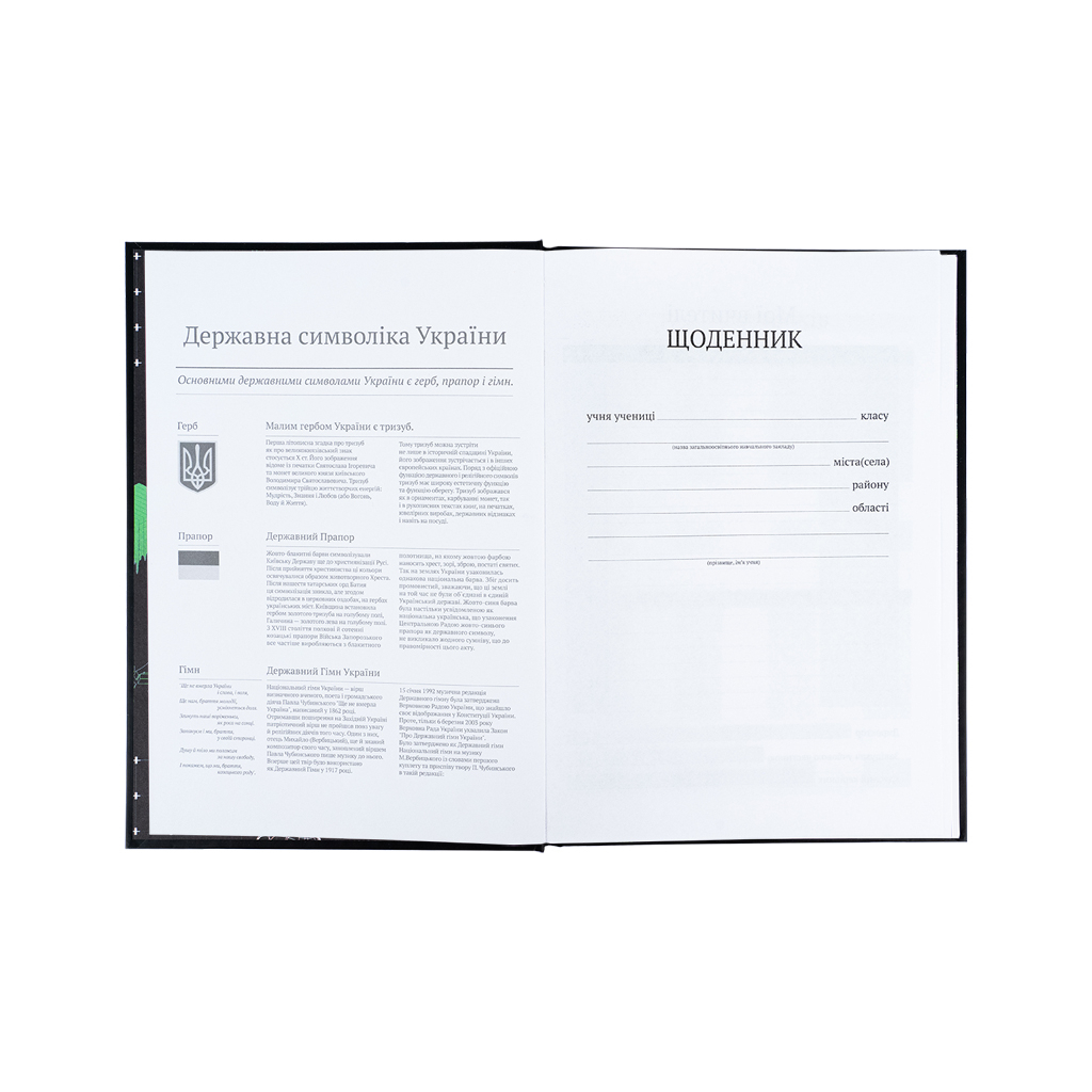 Щоденник шкільний Kite CyberRink, тверда обкладинка (K25-262-9) - изображение 4