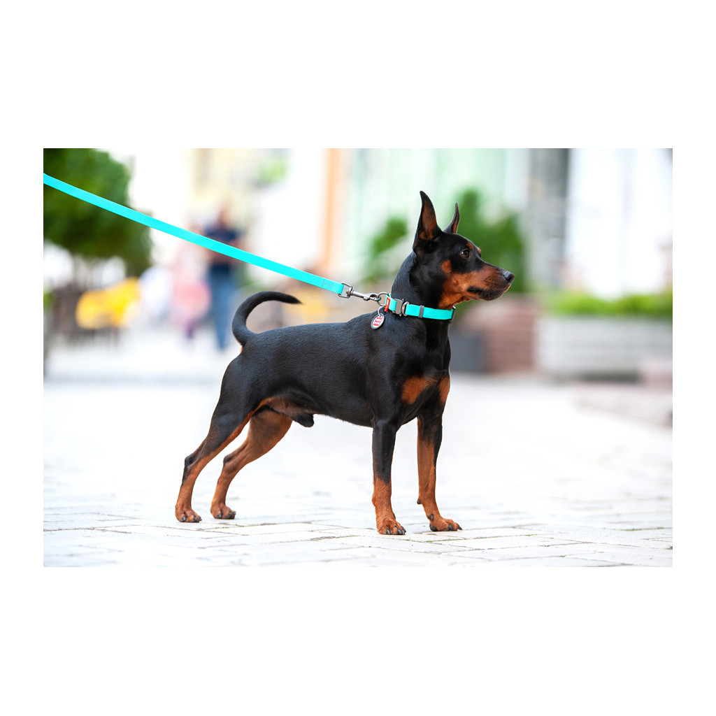 Нашийник для тварин WAUDOG Waterproof з QR металічна пряжка-фастекс Ш 25 мм Д 38-58 см ментоловий (2783) - изображение 5