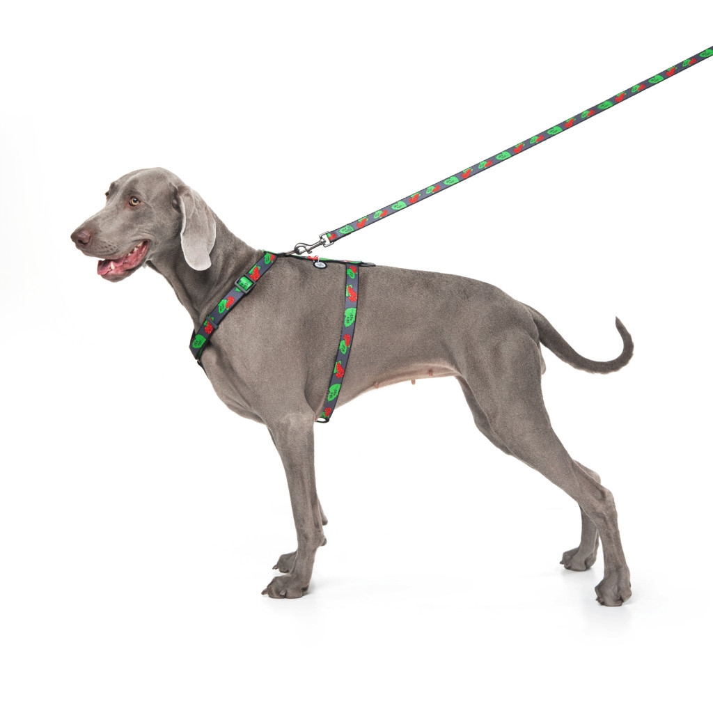 Шлея для собак WAUDOG Nylon з QR паспортом анатомічна H-подібна "Калина" L (5160-0228) - изображение 3