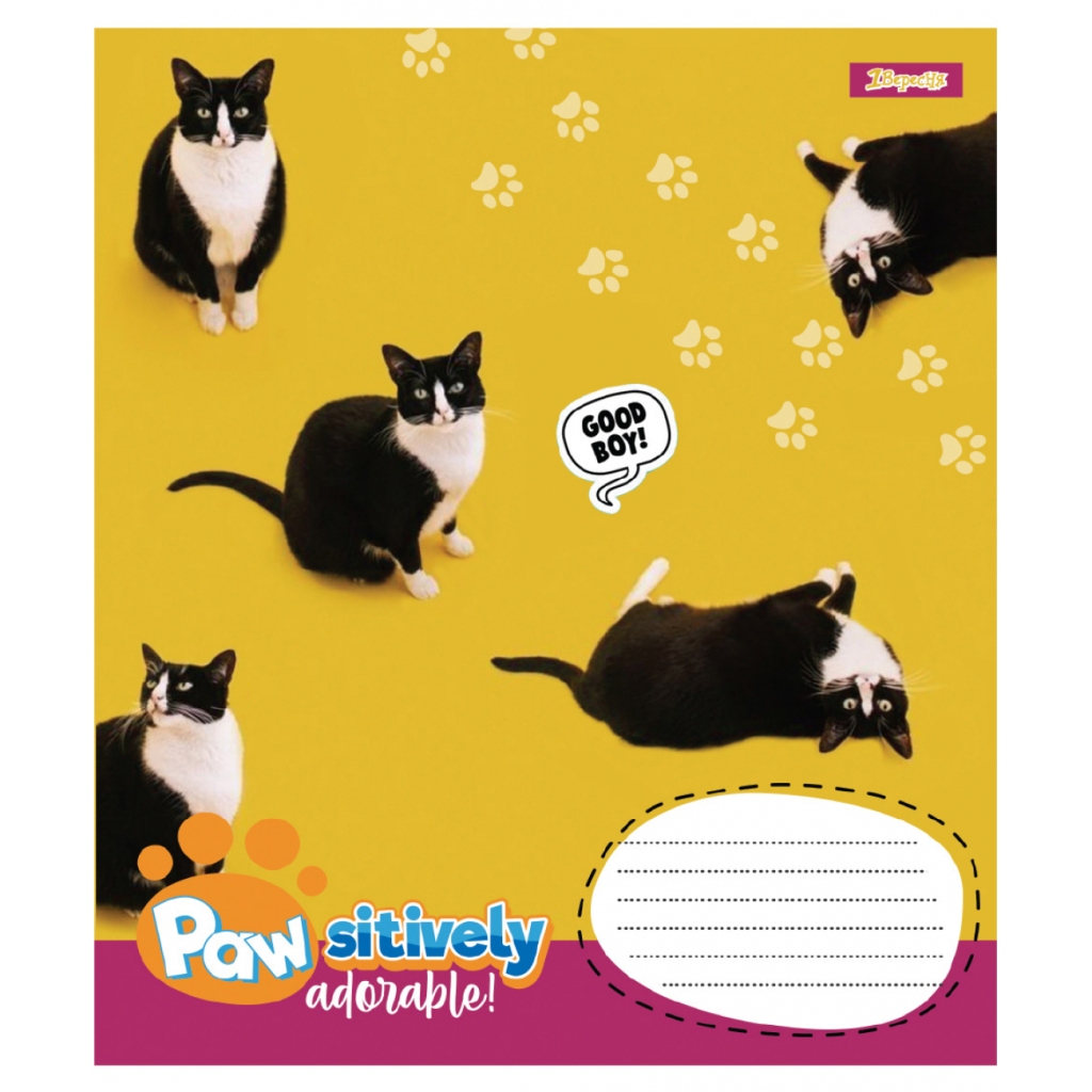 Зошит 1 вересня Pawsitively А5 24 аркушів клітинка (768240) - зображення 6