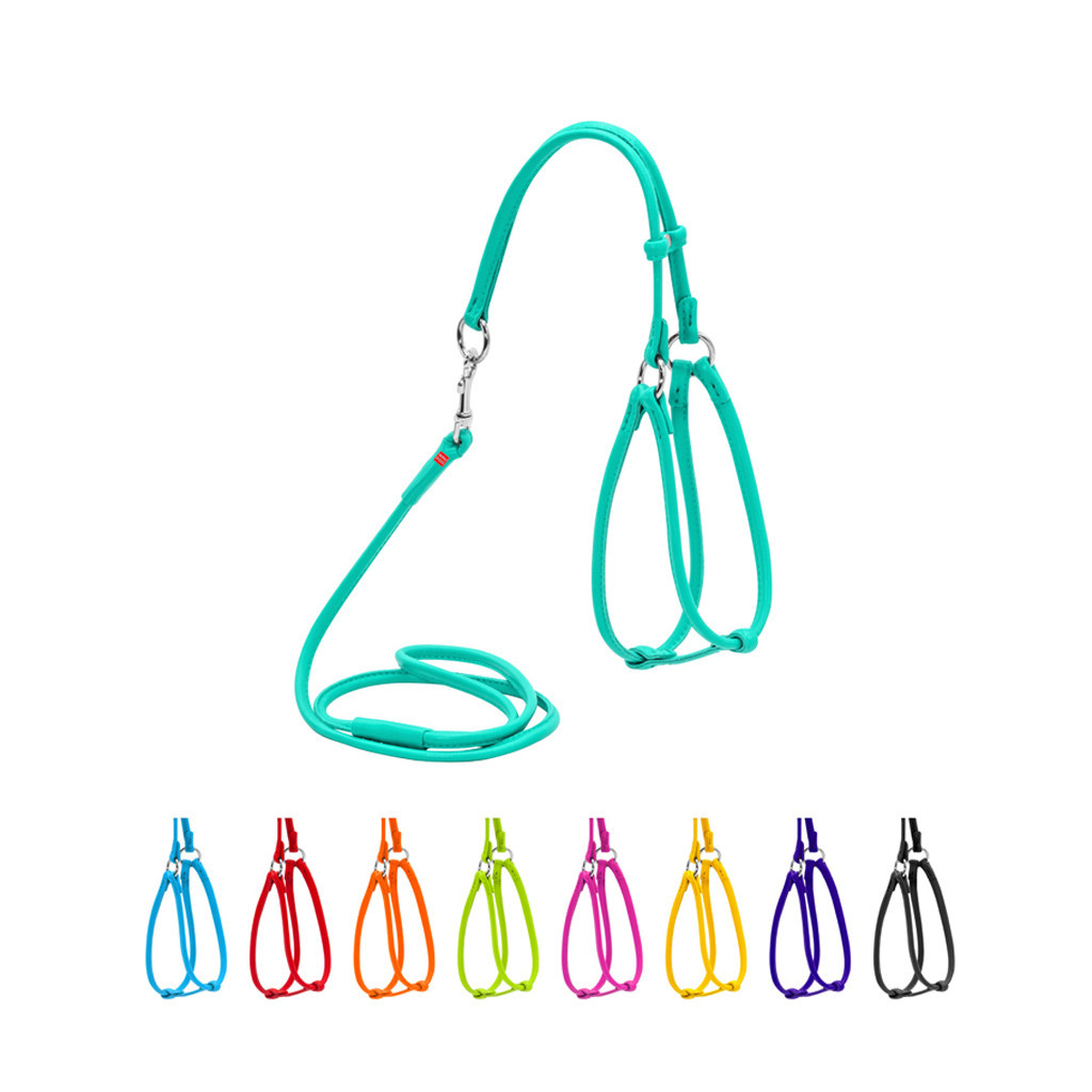 Шлея для собак WAUDOG Glamour кругла, з повідцем XXS ментолова (340113) - зображення 1