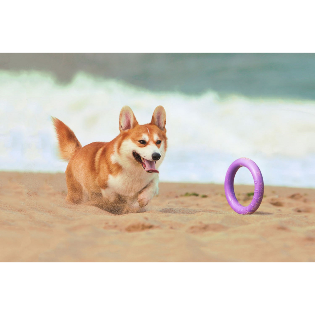 Іграшка для собак Puller Midi 20 см 2шт (6488) - зображення 5