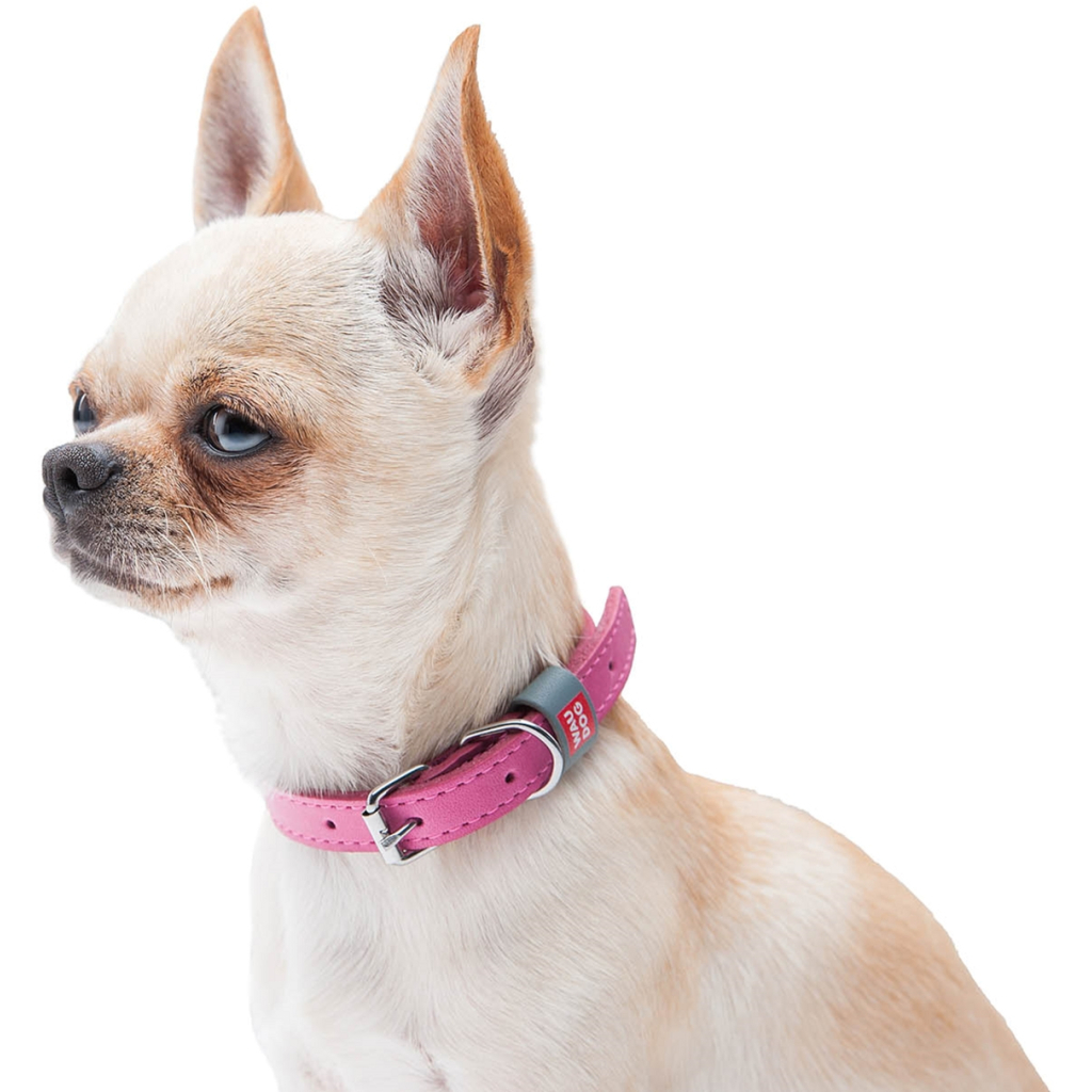 Нашийник для тварин WAUDOG Classic шкіряний 12 мм х 19-25 см рожевий (02017) - изображение 6
