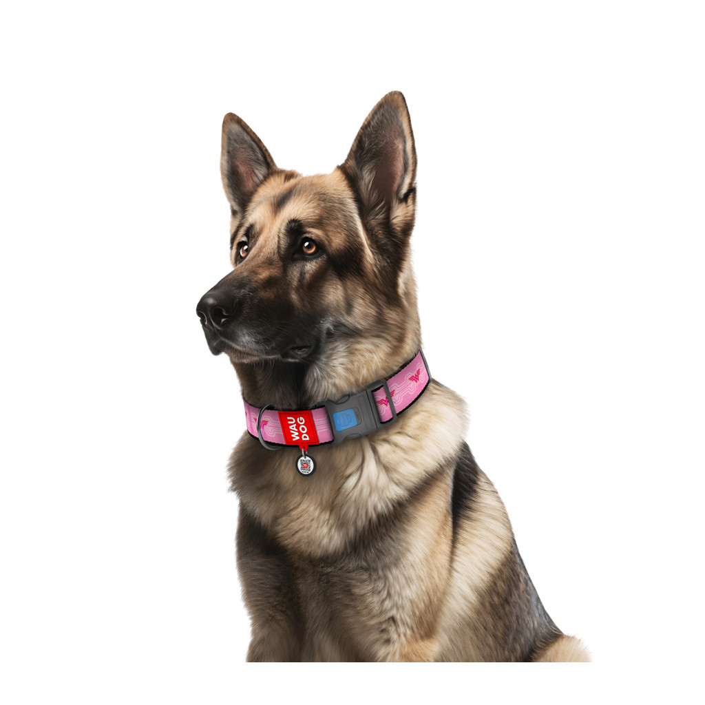 Нашийник для тварин WAUDOG Nylon з QR паспортом "Диво-жінка 1" пластиковий фастекс Ш 35 мм Д 46-70 см (284-2015) - зображення 3