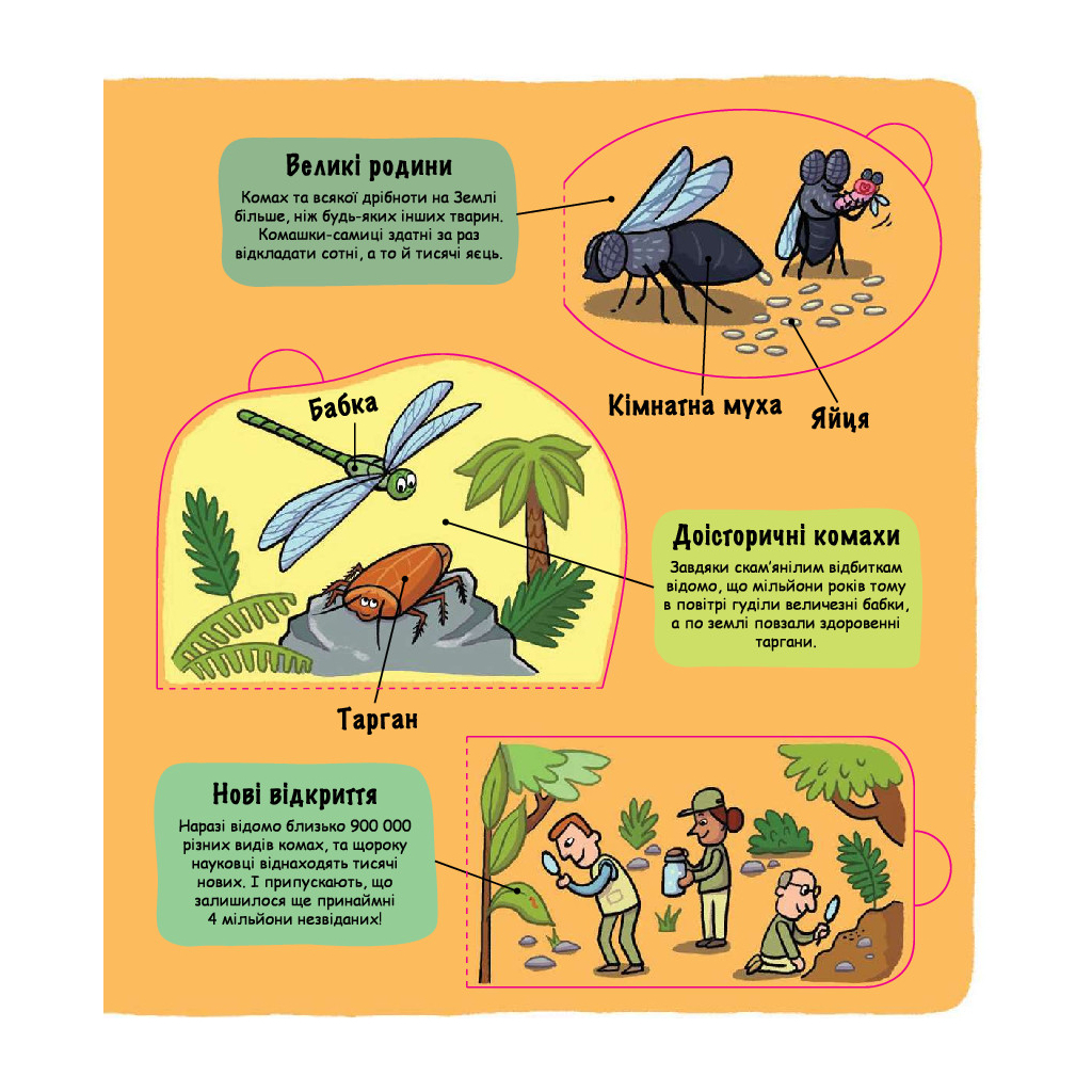 Книга Маленькі дослідники. Комашки #книголав (9786177563845) - зображення 5