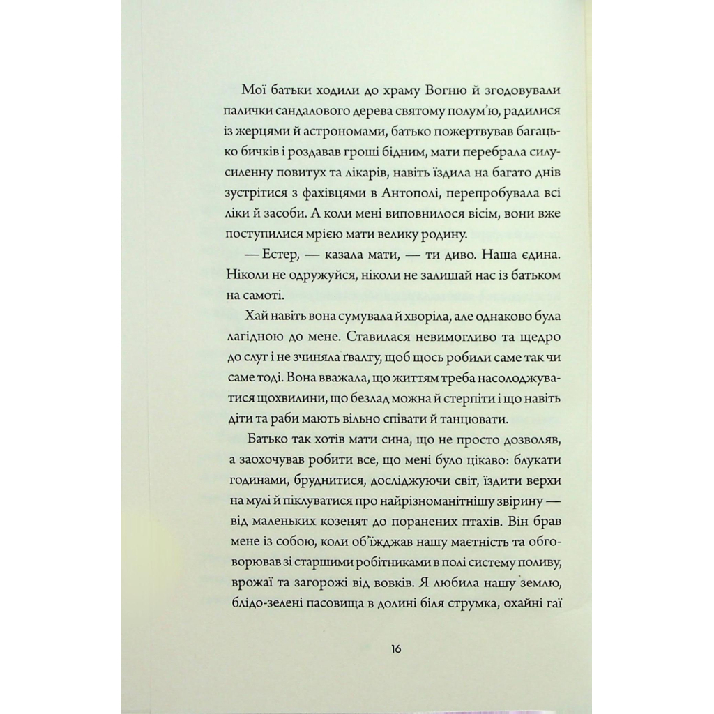 Книга Невпокорене небо - Фонда Лі Жорж (9786178287627) - зображення 11