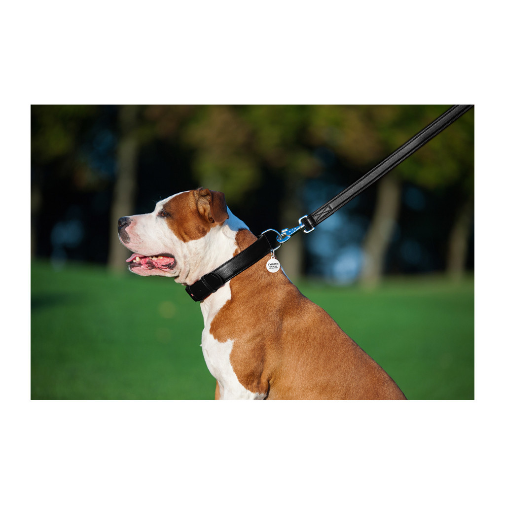 Повідець для собак WAUDOG Glamour шкіряний M-XXL чорний (33761) - изображение 7