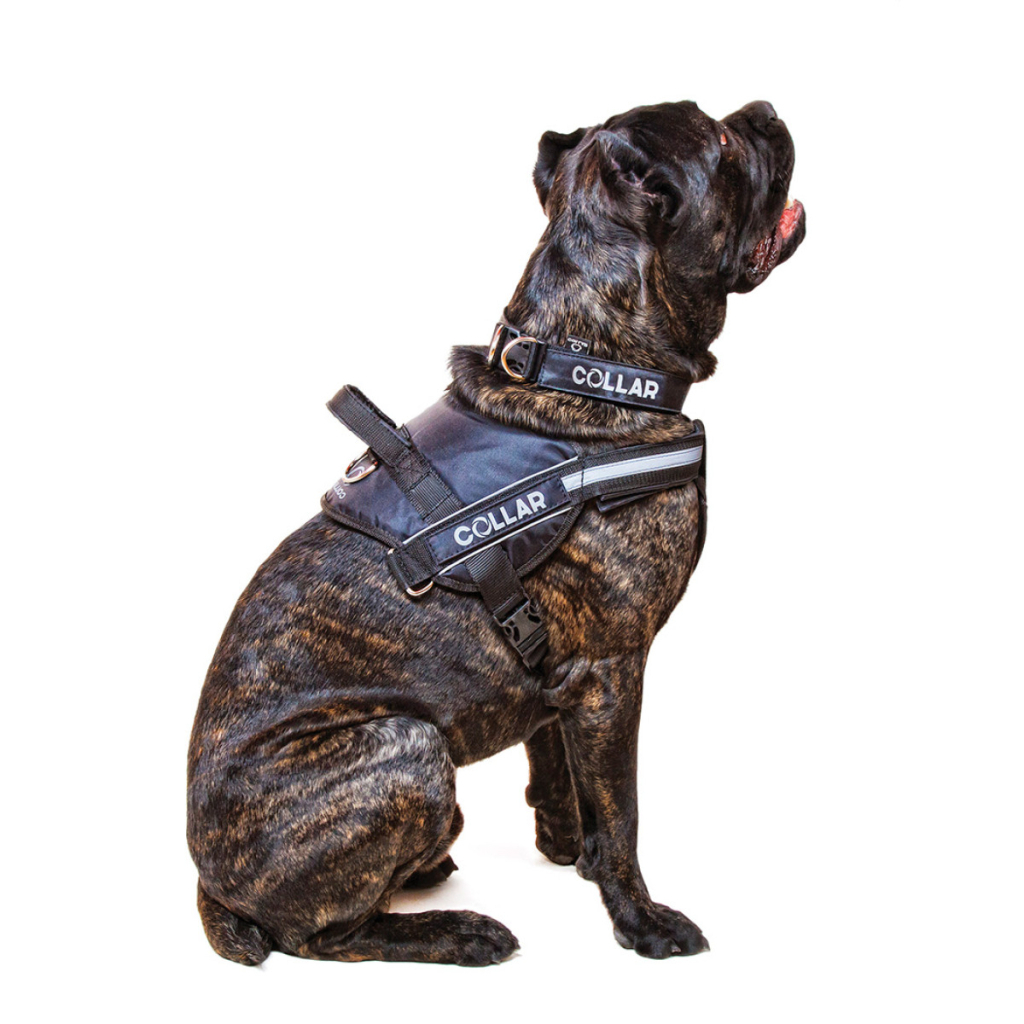 Шлея для собак Dog Extreme Police N5 з ліхтариком 85-115 см червона (07133) - зображення 3