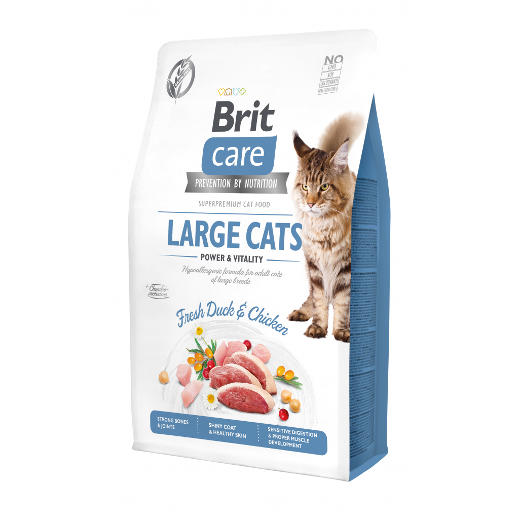 Сухий корм для кішок Brit Care Cat GF Large cats Power and Vitality 2 кг (8595602540914) - зображення 1