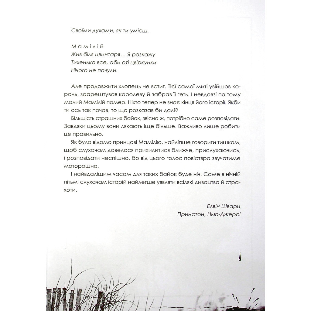 Книга Страшні історії для розповіді в темряві - Елвін Шварц Vivat (9789669823137) - зображення 5