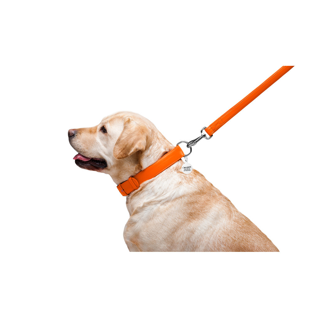 Повідець для собак WAUDOG Glamour шкіряний M-XXL помаранчевий (33764) - зображення 6