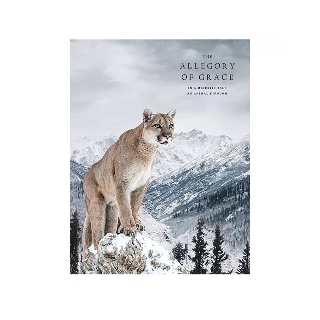 Зошит Школярик А5 Student лінія 48 аркушів (A5-048-5072L) - зображення 4