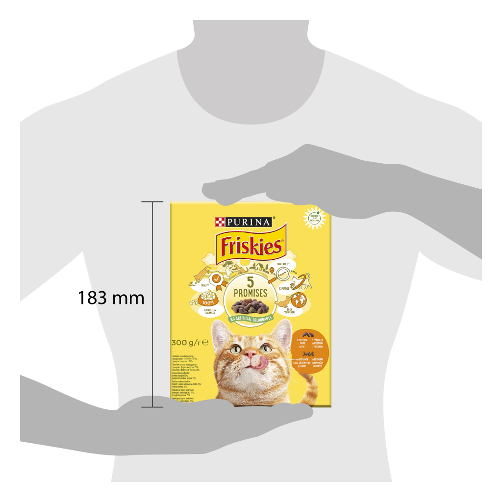 Сухий корм для кішок Purina Friskies з куркою та овочами 300 г (7613031868247) - зображення 3