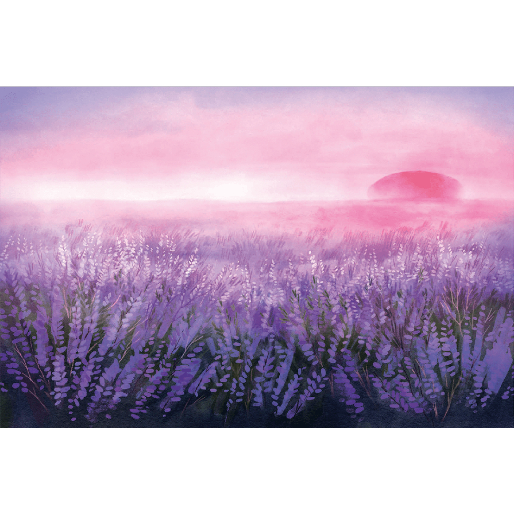 Книга Вересова Міль - Оксана Була Видавництво Старого Лева (9789664480359) - зображення 3