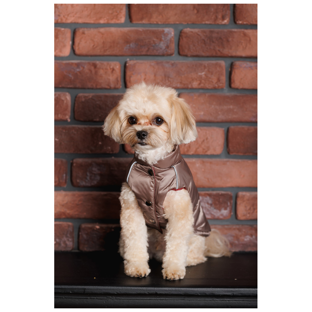 Жилет для тварин Pet Fashion Hardy ХS2 (4823082437535) - зображення 9