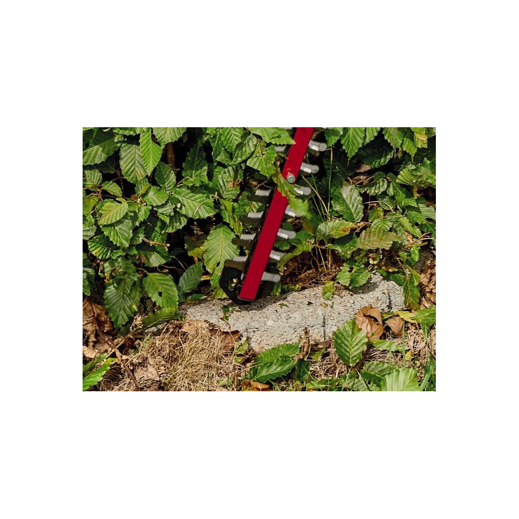 Кущоріз Einhell ARCURRA (без АКБ та ЗП) (3410920) - зображення 3