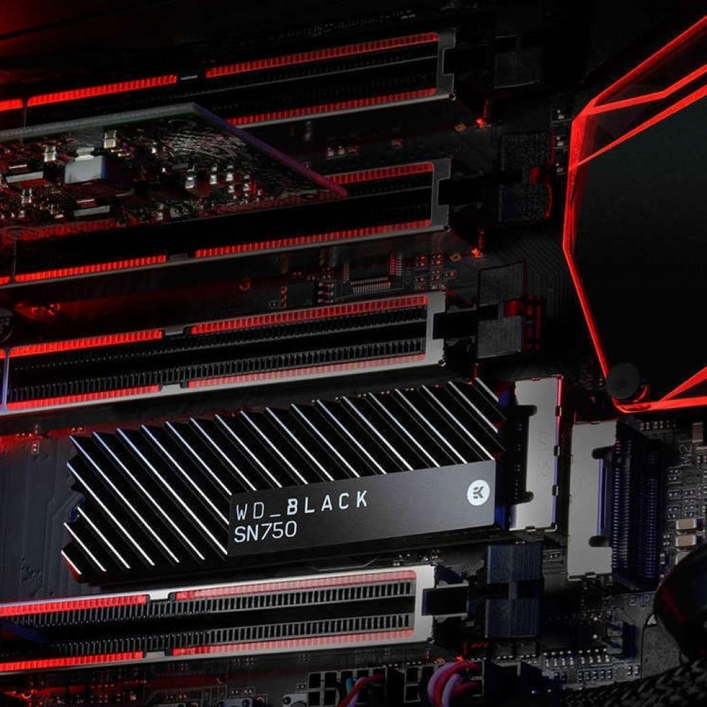 Накопичувач SSD M.2 2280 1TB WD (WDS100T3XHC) - зображення 8